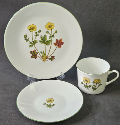 Mountain Flower Porsgrund Norway Alpine Cinquefoil Cup, Saucer & Dessert Plate