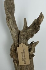 28 Driftwood Natural Aquarium Plant Art Unique Taxidermy Decor