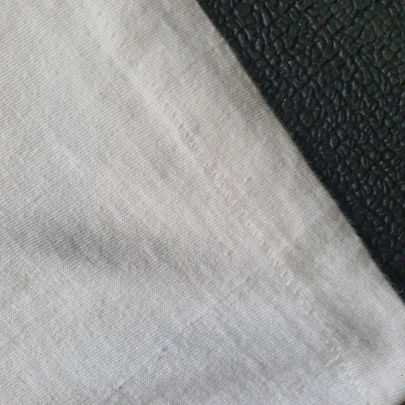 Picture 8 of 8