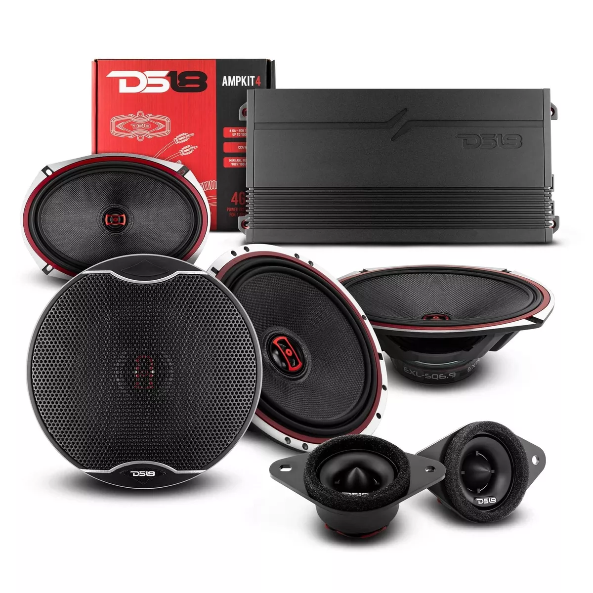 Best ds18 cheap speakers