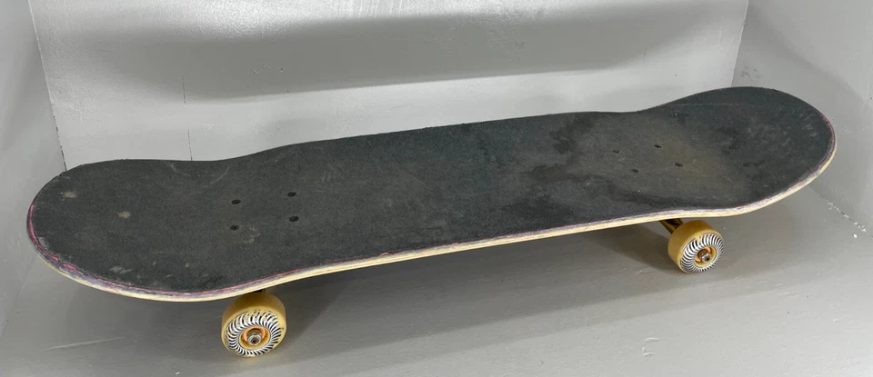 Chima Real Skateboard Blue Poppy Fields 8.25" x 32" completo con camiones Thunder Foto 2 de 4