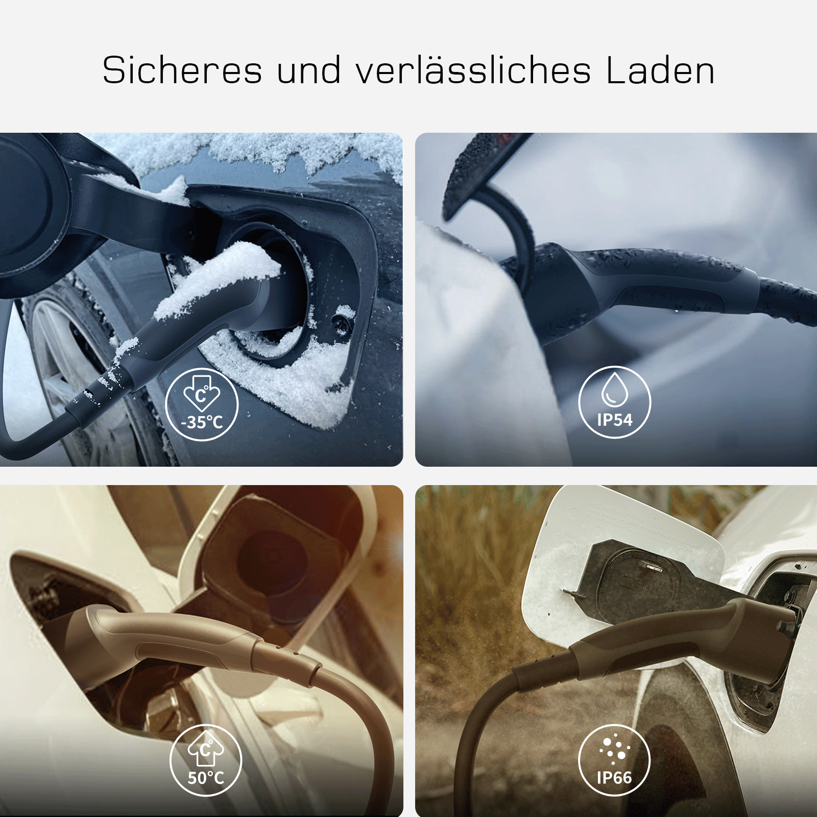 Bild 7 von 12