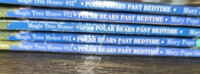 Guided Reading 5 Book Set Polar Bears Past Bedtime