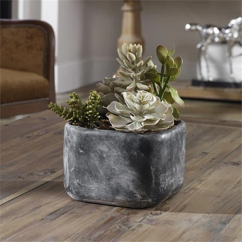 Uttermost Alverio Contemporary Plastic Iron Cement Succulents in Black/Green - Picture 5 of 5