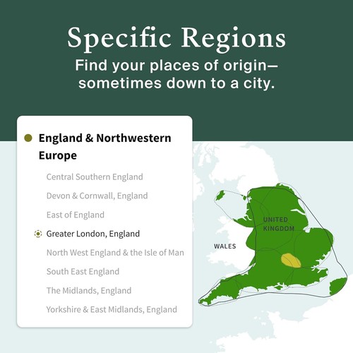 Kit de prueba genética AncestryDNA: resultados genéticos personalizados, prueba de etnia de ADN - Imagen 5 de 5