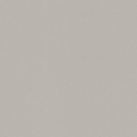 Rasch Tapete Vlies Wallpaper Color Taupe 518016 Uni Glatte OberfläChe Vliestapet