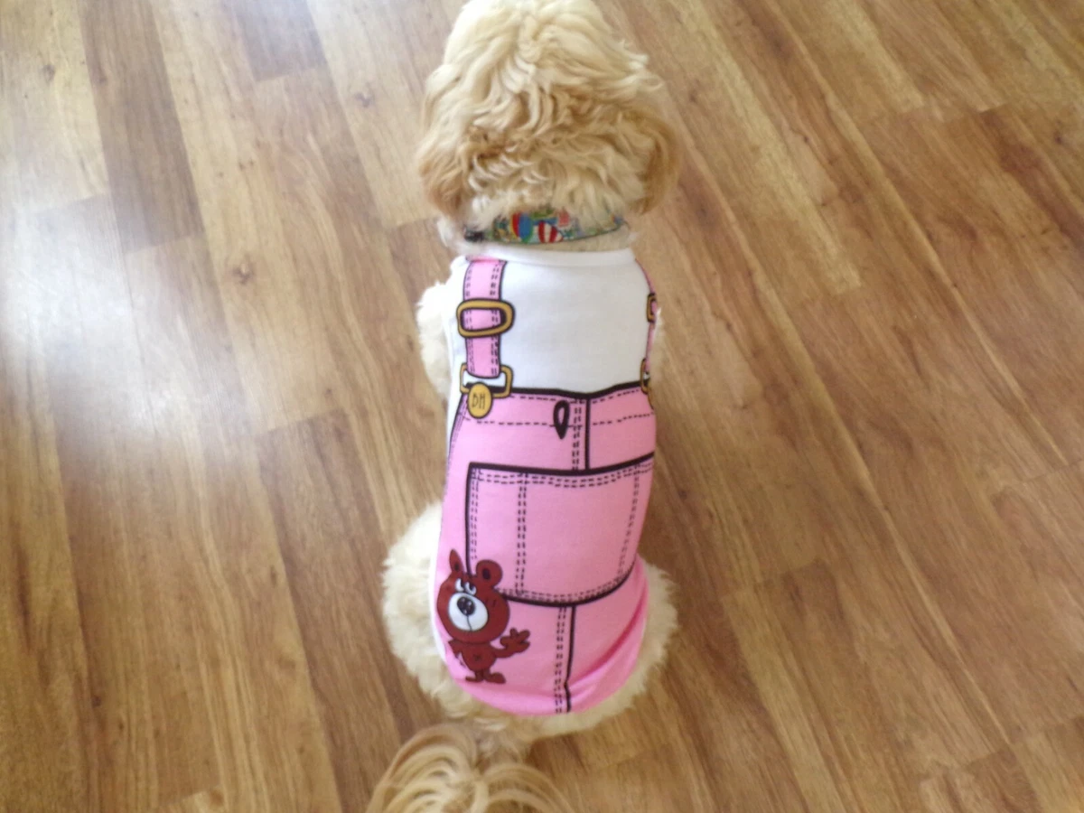 Lightweight dog clearance shirt