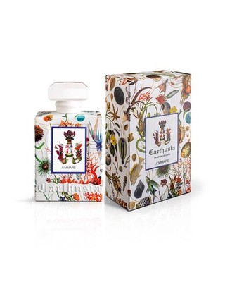 CARTHUSIA A'MMARE AMMARE I Parfum di Capri Eau De Parfum 50ml Spray -versiegelt