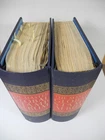 US/WW, BRITISH COLONIES, Stamp Collection mostly  hinged in a 2 Volume Minkus