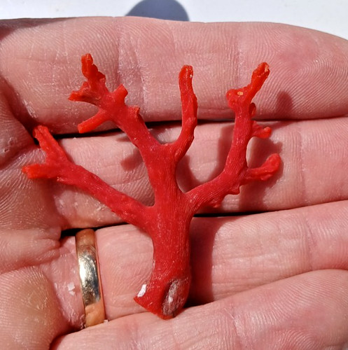30 ct Natural Mediterranean Sea Red Coral Branch