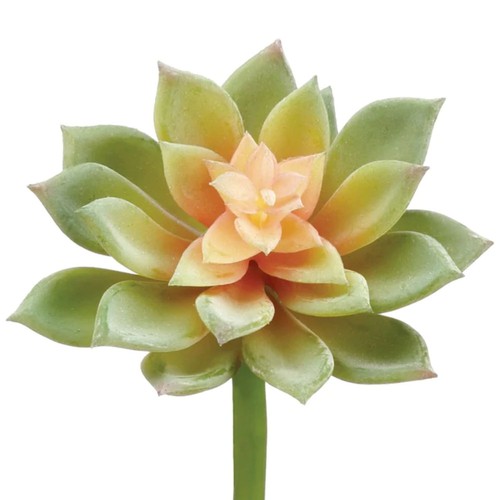 Artificial Echeveria Pick Spray - 10" - Green and Mauve