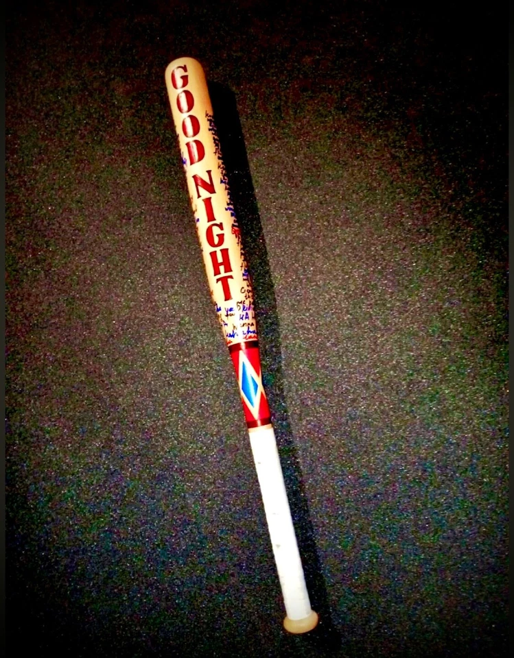 Harley Quinn Bat Cosplay Birds of Prey Suicide Squad Bat Co. Foto 2 de 4