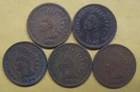 Five Indian Pennies with Five Different Dates--ALL in Good+ Take a Look