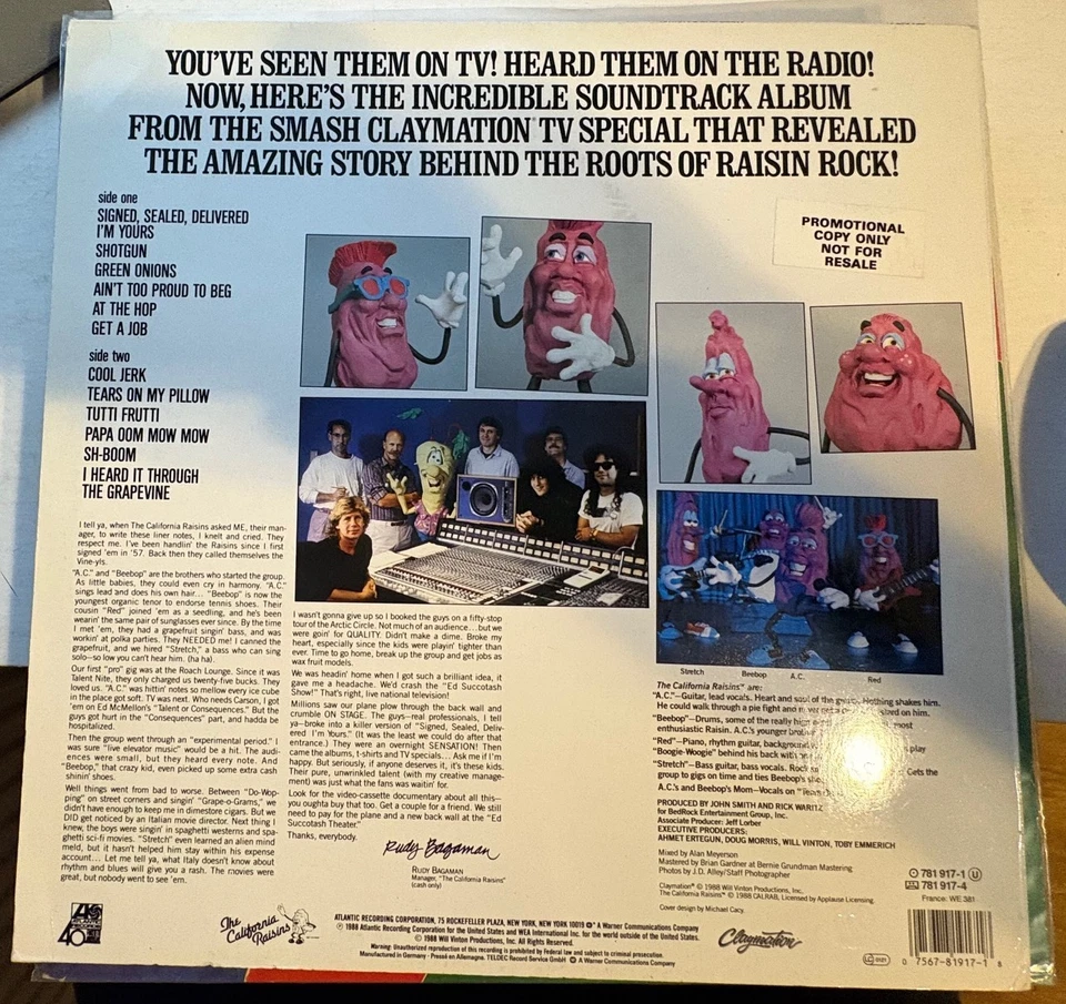 The Raisins "Meat The Raisins!"  12" Vinyl  Album Soul Pop Indie Rock 1988 - Image 2 of 2