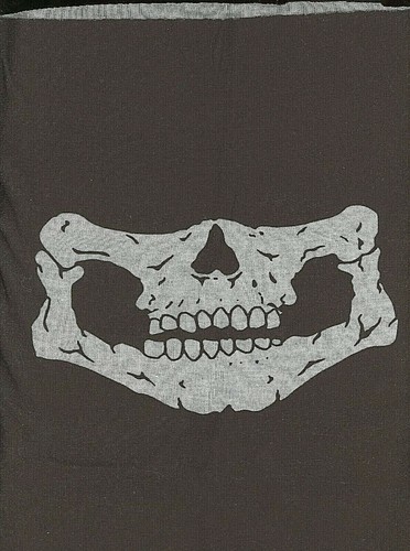 100-Pack USA-Made Skeleton Skull Face Mask Neck Tube Scarf Bandanas – Wholesale Lot