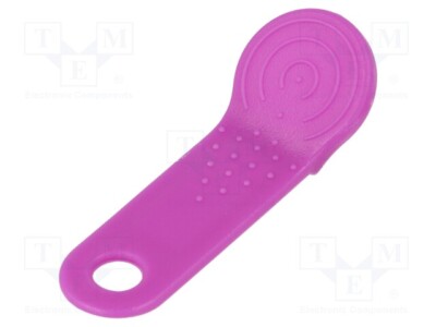 1 Stück, IButton-Halter als Schlüsselanhänger IBF-DS9093A/PU /E2DE