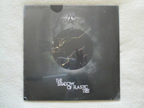 Vinyles LP The Shadows 30 cm