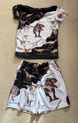 Jungen Dinosaurier T-Shirt und Shorts Outfit 7-8 Jahre