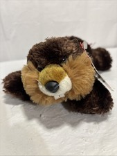 Aurora The Builder BEAVER 8  Bean Plush Stuffed Animal Toy. Adorable 