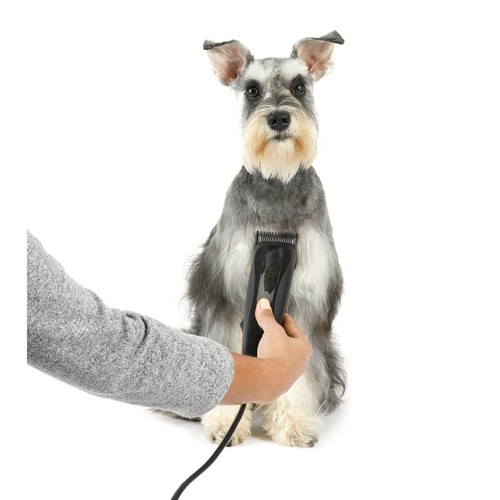 Oster Calm Clips Medium Duty Clipper Grooming Kit for Dogs & Cats - Picture 10 of 12