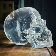 Translucent Human Clear Skull, Resin Crystal Skull, Oddities, Gothic Decor