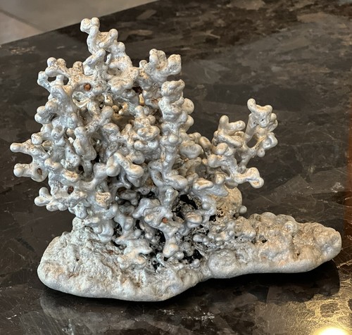 Anthill Art Anthill Aluminum Casting 2.9 lbs Texas Coral - Picture 4 of 8