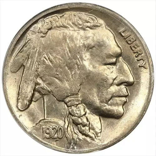 1920-D Buffalo Nickel PCGS MS64 Series Holder
