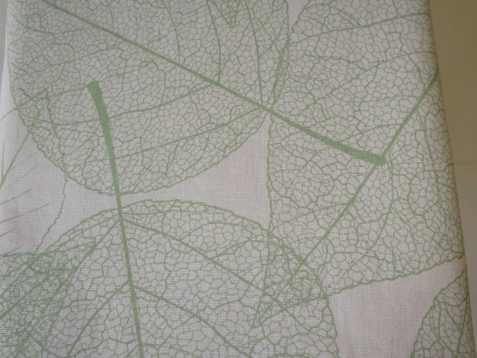 Picture 11 of 36