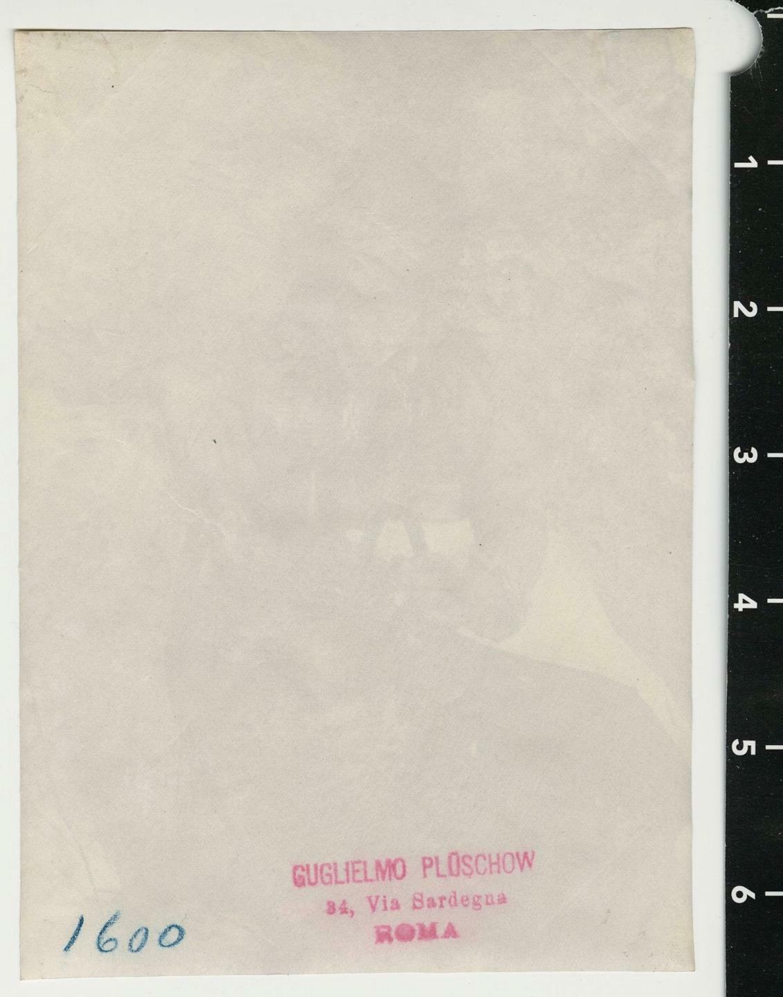 Guglielmo Plus Chow Gay