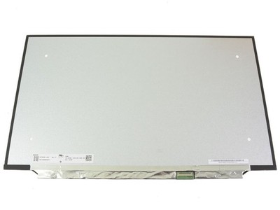 Dell Alienware x17 R2 17.3'' FHD LCD Widescreen Matte 480Hz 3HRM1 N173HME-GA2 40P