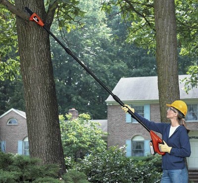 pole tree limb cutter