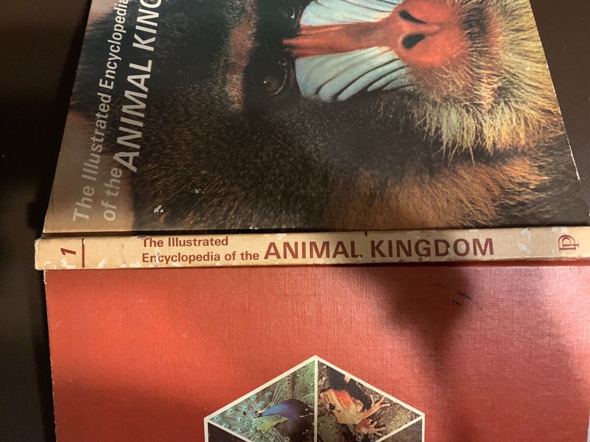 The Illustrated Encyclopedia of the Animal Kingdom by Herbert Kondo (1968, Hardc The Illustrated Encyclopedia of the Animal Kingdom by Herbert Kondo (1968, Hardc