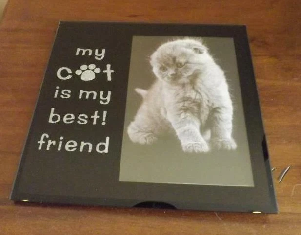 "MY CAT IS MY BEST FRIEND" PHOTO FRAME BLACK GLASS photo size 10cm x 15cm - image 1 of 2