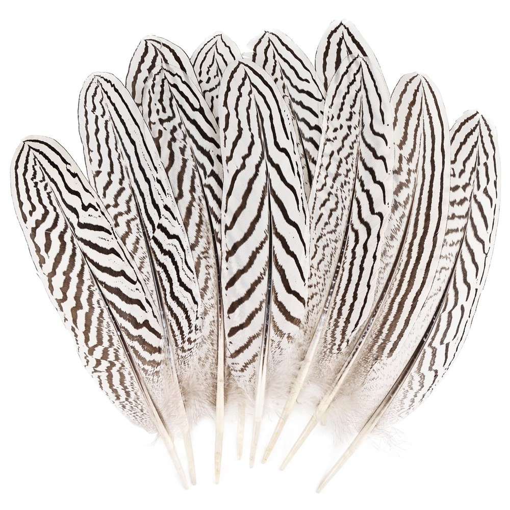 12Pcs Silver Pheasant Feathers Bulk Natural Spotted Feathers Pheasant Feather...