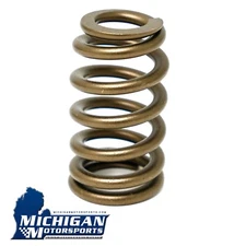 PAC 1218 Beehive Valve Spring SINGLE Replacement Spring