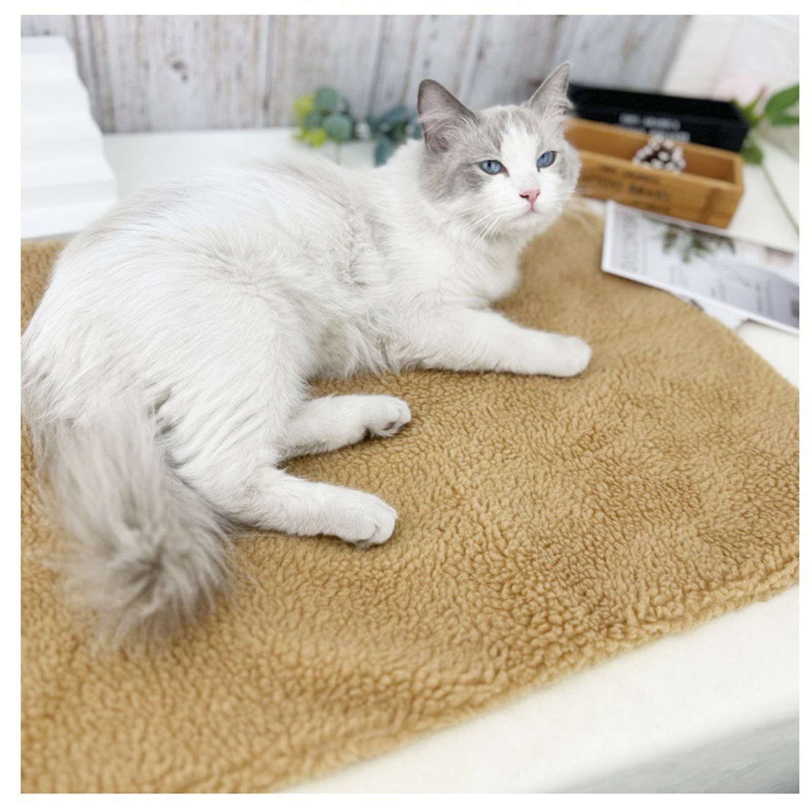 Dog Bed Pad Soft Comfortable Lamb Wool Pet Sleeping Mat Durability Pet Bed Mat F