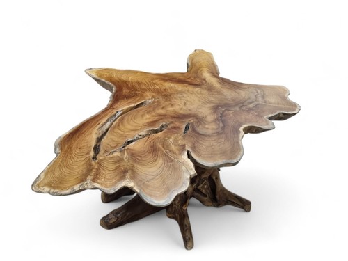 Wood Side Table Tree Pane Teakwood Table Root Wood Rustic Living Room New - Picture 44 of 45