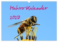 "Calendar 2027 · US Version · Macro Calendar 2027 (Wall Calendar 2027 17\" × 12\" L"