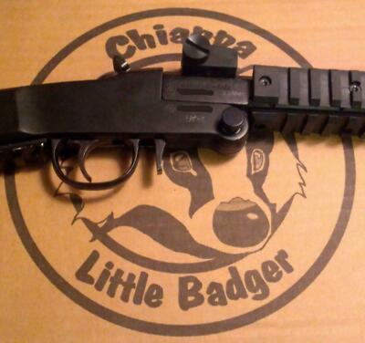 Chiappa Little Badger Takedown Screw.