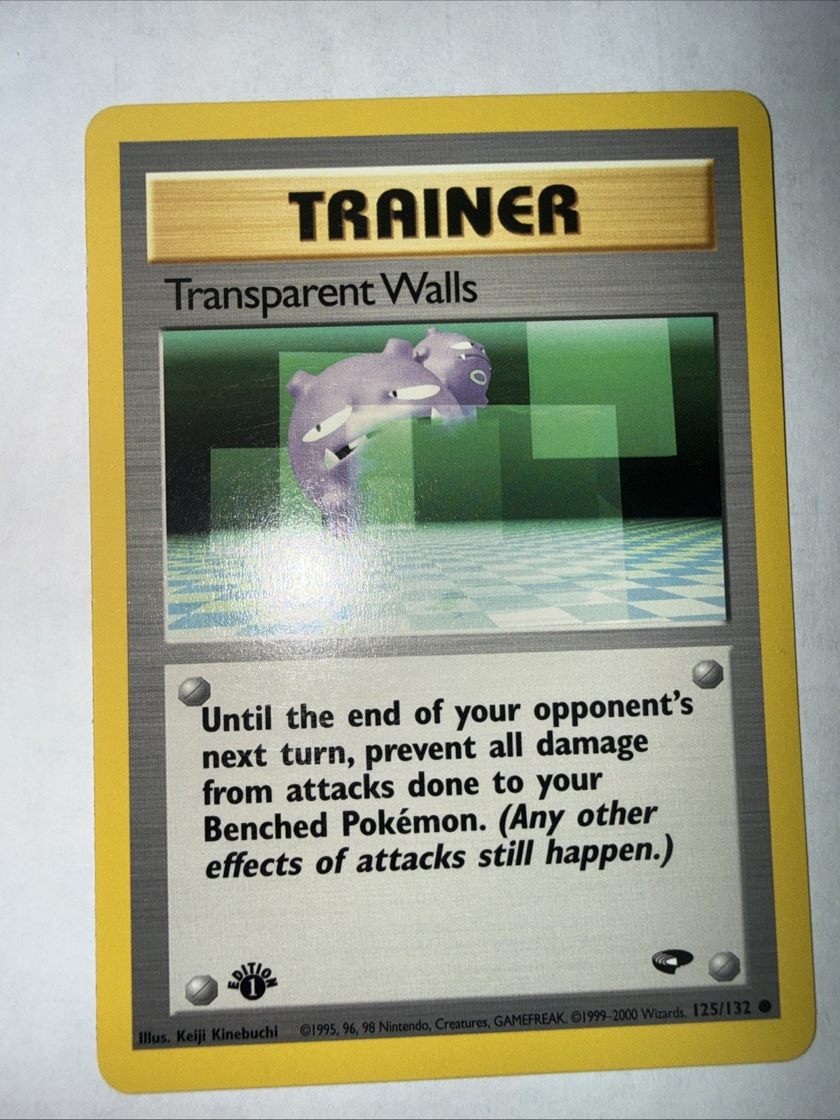Transparent Walls 125/132 Gym Challenge Regular