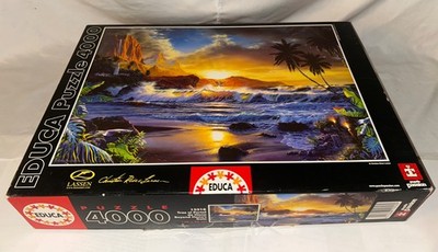 Educa 4000 piece puzzle BEYOND HANA S GATE