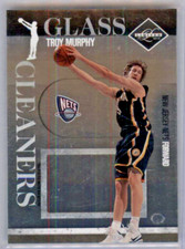 2010-11 Panini Limited Glass Cleaners Troy Murphy #12 010/149 NEW JERSEY NETS