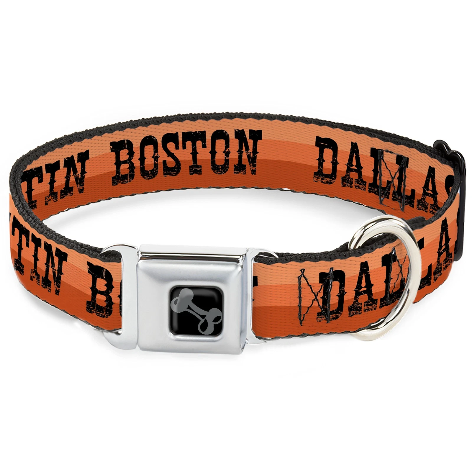 Dog Collar Bone Dallas-Raleigh-Tennessee-Austin-Boston Stripes Brown (US IMPORT)