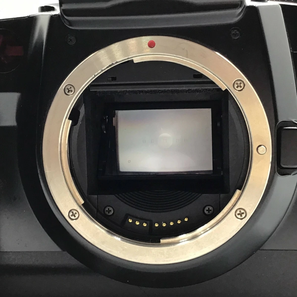 Canon EOS 5 Quartz Date QD Black SLR 35mm Film Camera Body Only - GOOD