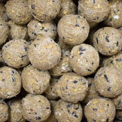 KLASEBO Meisenknödel Premium mit Insekten 100 x ca.90 Gramm ohne Netz