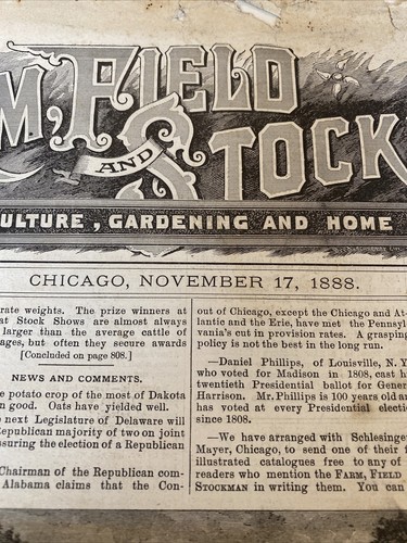 Vintage “Farm Field And Stockman ” Chicago Newspaper November 17, 1888 - Picture 3 of 10