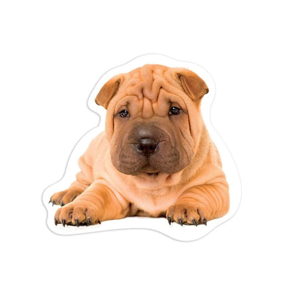 Gift Sticker : Sharpei Flowers Modern Dog Watercolors Pet Funny Cute | eBay