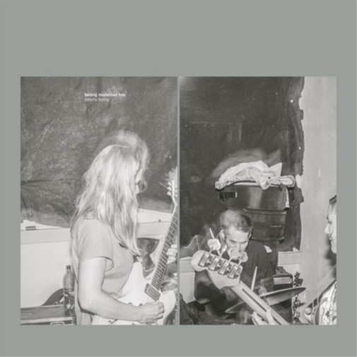 Альбом Hedvig Mollestad Trio Smells Funny (CD) (ИМПОРТИРОВАН из Великобритании)