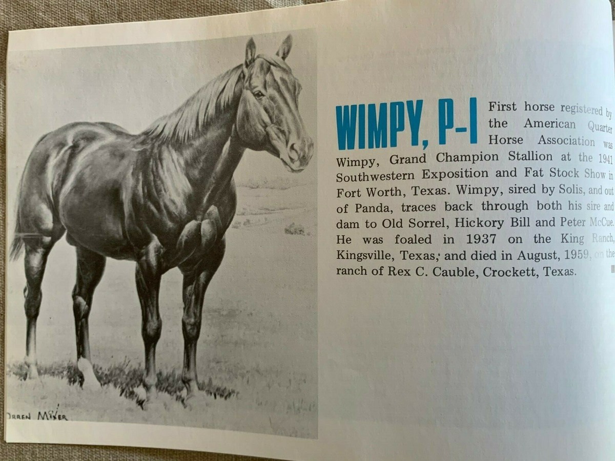 OLD VINTAGE 1978 AQHA QUARTER HORSE KIT WIMPY-P1, TRAINING
