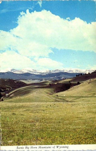 Scenic Big Horn Mountains of Wyoming Postcard c1969